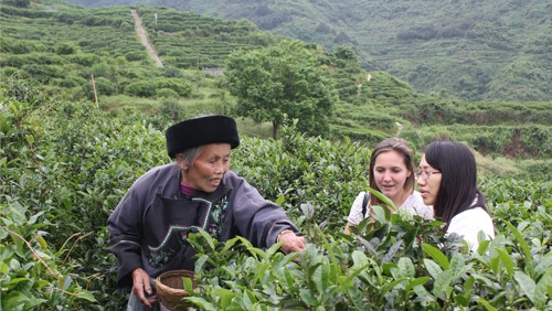 湖南省茶業(yè)集團股份有限公司產教融合校企合作三年規(guī)劃（2022-2024年）